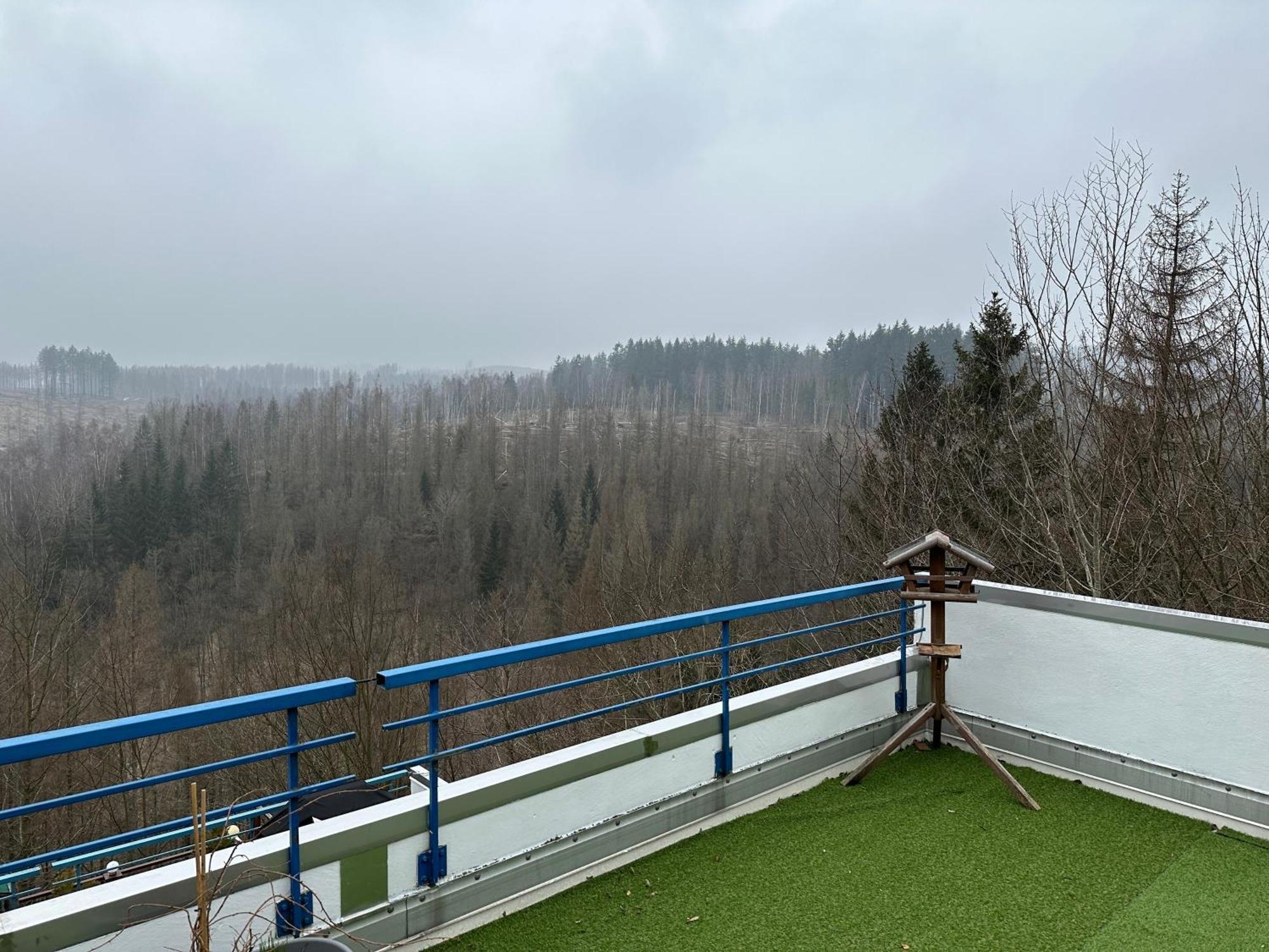 Ferienwohnung Harz #4, Pool, Sauna, Wlan Braunlage Esterno foto